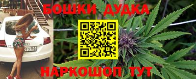apvp Славгород