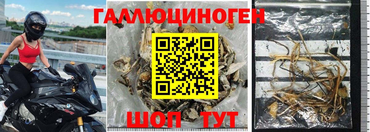 где продают   Галлюциногенные грибы прущие грибы  Вход с VPN  Пугачёв  Псилоцибиновые грибы ЛСД 