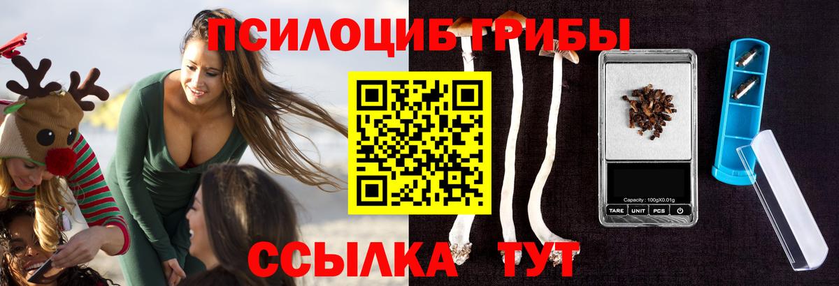 Галлюциногенные грибы Psilocybe Пугачёв